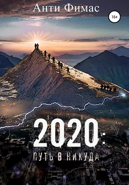 Анти Фимас 2020: путь в никуда обложка книги