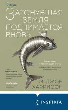 Майкл Гаррисон Затонувшая земля поднимается вновь обложка книги