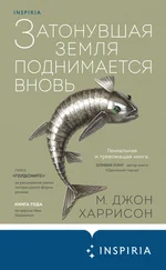 Майкл Гаррисон - Затонувшая земля поднимается вновь