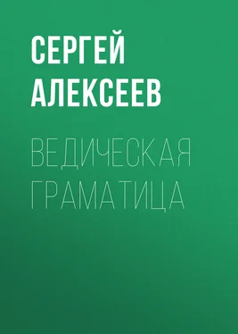 Сергей Алексеев Ведическая граматица обложка книги