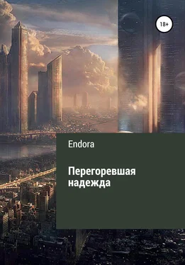 Endora Перегоревшая надежда обложка книги