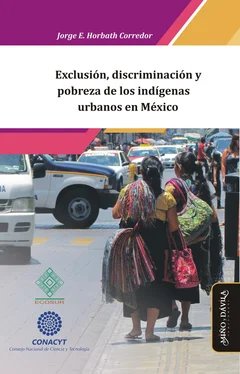Jorge Enrique Horbath Corredor Exclusión, discriminación y pobreza de los indígenas urbanos en México обложка книги