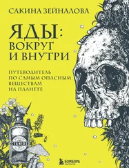 Сакина Зейналова - Яды - вокруг и внутри. Путеводитель по самым опасным веществам на планете