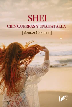 Mariam Gancedo Shei. Cien guerras y una batalla обложка книги