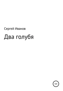 Сергей Иванов Два голубя обложка книги