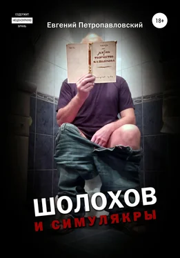 Евгений Петропавловский Шолохов и симулякры обложка книги