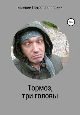 Евгений Петропавловский Тормоз, три головы обложка книги