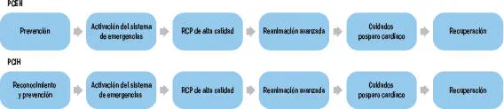 Fuente Adaptado de las nuevas Guías AHA 2020 Prevención Puede ser aplicada - фото 32