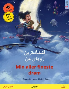 Cornelia Haas قشنگ‌ترین رویای من – Min aller fineste drøm (فارسی، دری – نروژی) обложка книги