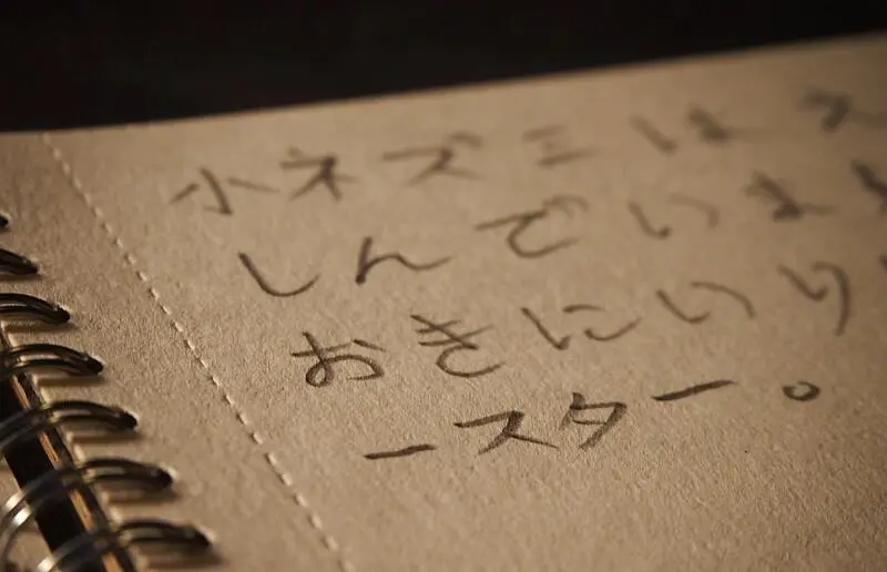 W tekście książki obok Hiragany i Katakany używane są proste Kanji Dla - фото 2