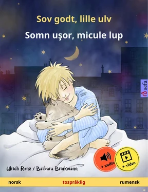 Ulrich Renz Sov godt, lille ulv – Somn uşor, micule lup (norsk – rumensk) обложка книги