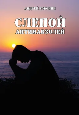 Андрей Воронин Слепой. Антимавзолей обложка книги