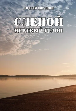 Андрей Воронин Слепой. Мертвый сезон обложка книги