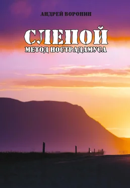 Андрей Воронин Слепой. Метод Нострадамуса обложка книги