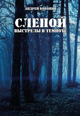 Андрей Воронин Слепой. Выстрелы в темноте обложка книги