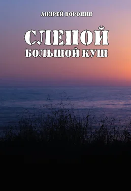 Андрей Воронин Слепой. Большой куш обложка книги