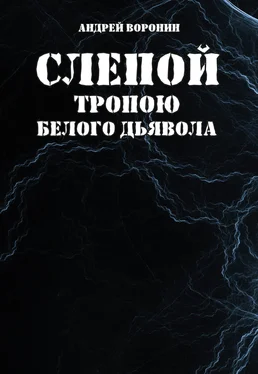 Андрей Воронин Слепой. Тропою белого дьявола обложка книги