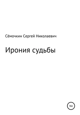 Сергей Сёмочкин Ирония судьбы обложка книги