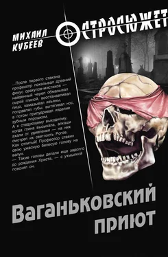 Михаил Кубеев Ваганьковский приют обложка книги