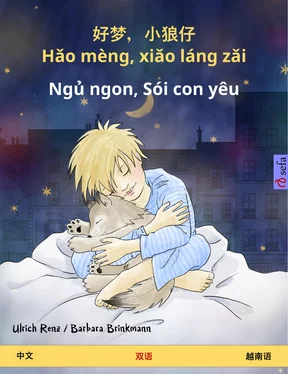 Ulrich Renz 好梦，小狼仔 - Hǎo mèng, xiǎo láng zǎi – Ngủ ngon, Sói con yêu (中文 – 越南语) обложка книги