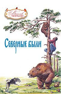 Вячеслав Чиркин Северные были (сборник) обложка книги