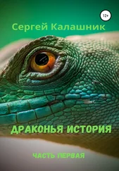 Сергей Калашник - Драконья история I