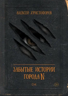 Алексей Христофоров Забытые истории города N обложка книги