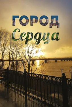 Роман Ложкин Город сердца обложка книги