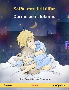 Ulrich Renz Sofðu rótt, litli úlfur – Dorme bem, lobinho (íslenska – portúgalska) обложка книги