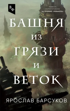 Ярослав Барсуков Башня из грязи и веток обложка книги