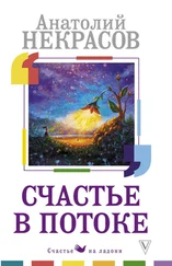 Анатолий Некрасов - Счастье в потоке