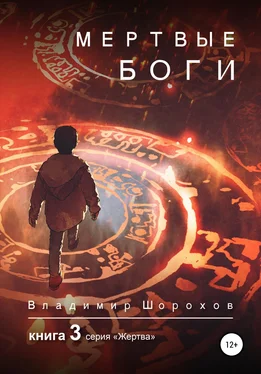 Владимир Шорохов Мертвые боги. Книга 3 обложка книги