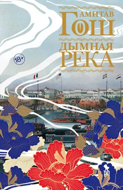 Амитав Гош Дымная река обложка книги