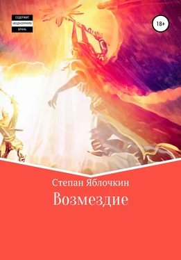 Степан Яблочкин Возмездие обложка книги