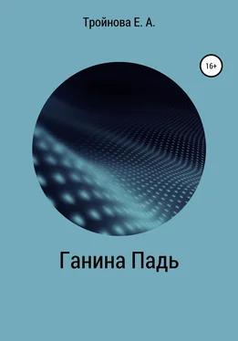 Екатерина Тройнова Ганина падь обложка книги