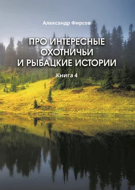 Александр Фирсов Про интересные охотничьи и рыбацкие истории. Книга 4 обложка книги