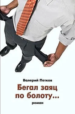 Валерий Петков Бегал заяц по болоту… обложка книги