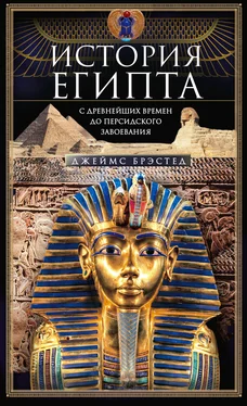 Джеймс Брэстед История Египта c древнейших времен до персидского завоевания обложка книги