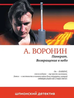 Андрей Воронин Панкрат. Возвращение в небо