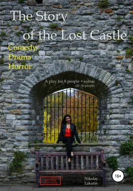 Nikolay Lakutin The Story of the Lost Castle обложка книги