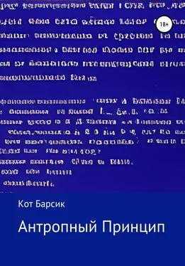 Кот Барсик Антропный Принцип обложка книги