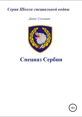 Денис Соловьев Спецназ Сербии обложка книги