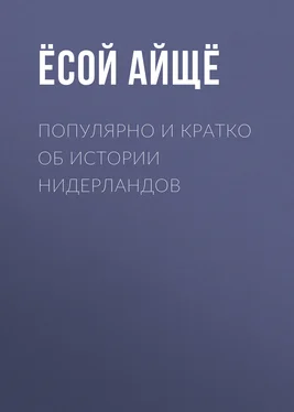 Ёсой Айщё Популярно и кратко об истории Нидерландов обложка книги