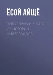 Ёсой Айщё - Популярно и кратко об истории Нидерландов