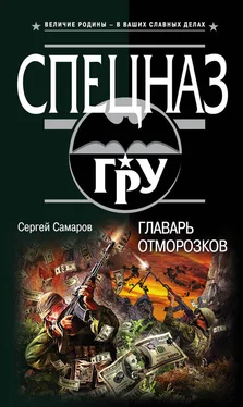 Сергей Самаров Главарь отморозков обложка книги
