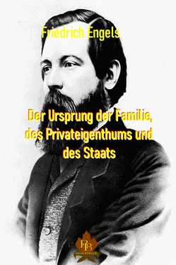 Friedrich Engels Der Ursprung der Familie, des Privateigentums und des Staates обложка книги