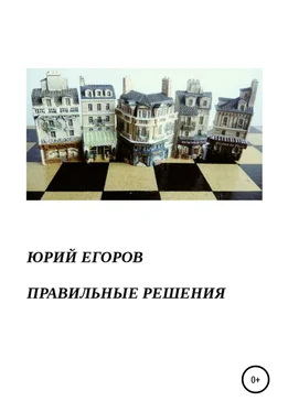 ЮРИЙ ЕГОРОВ Правильные решения обложка книги