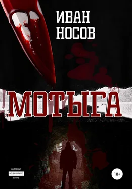 Иван Носов Мотыга обложка книги