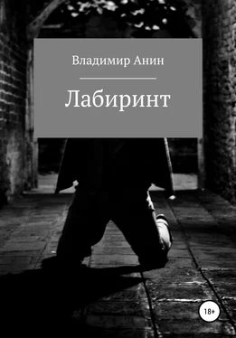 Владимир Анин Лабиринт обложка книги