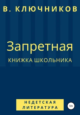 Владимир Ключников Запретная книжка школьника обложка книги